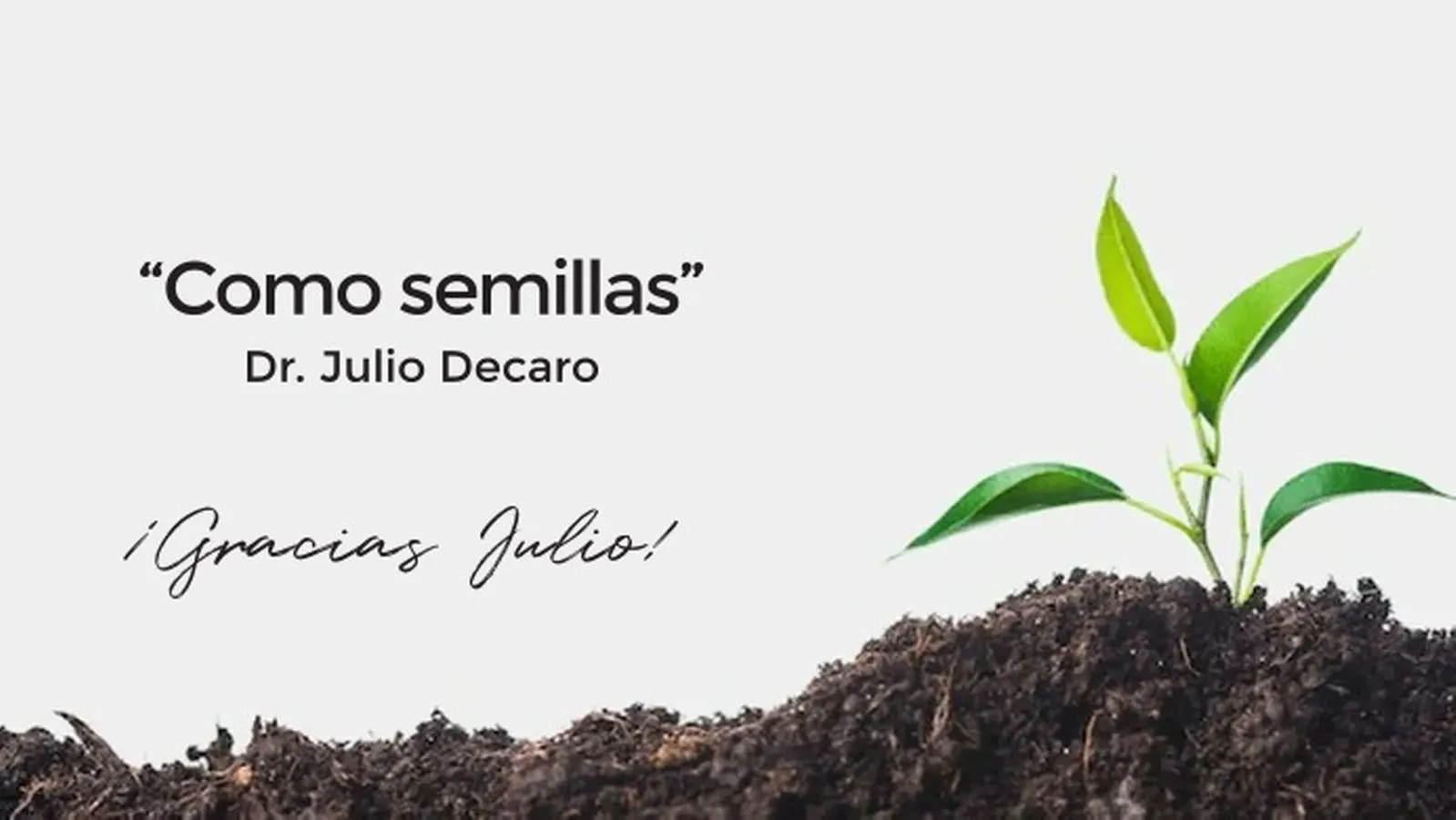 articulo "como semillas" de julio decaro