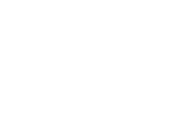Vasa logo